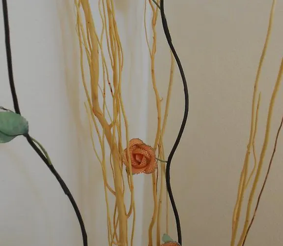 Eva ホテル コステロマーノ